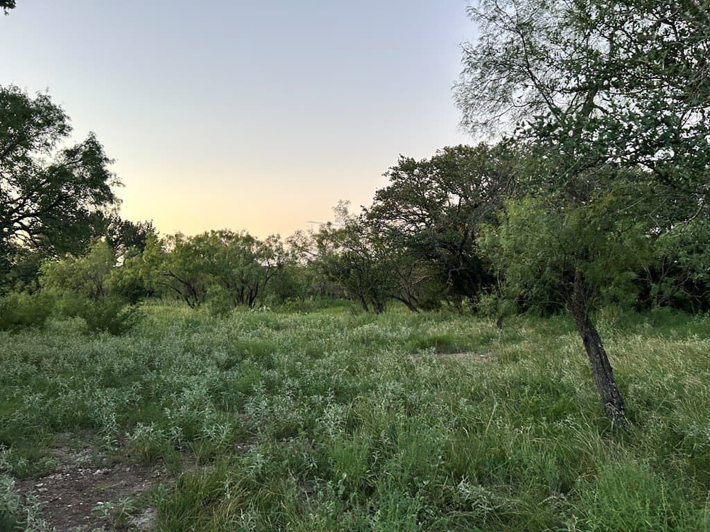 52.03 acres in Schleicher County - photo 24