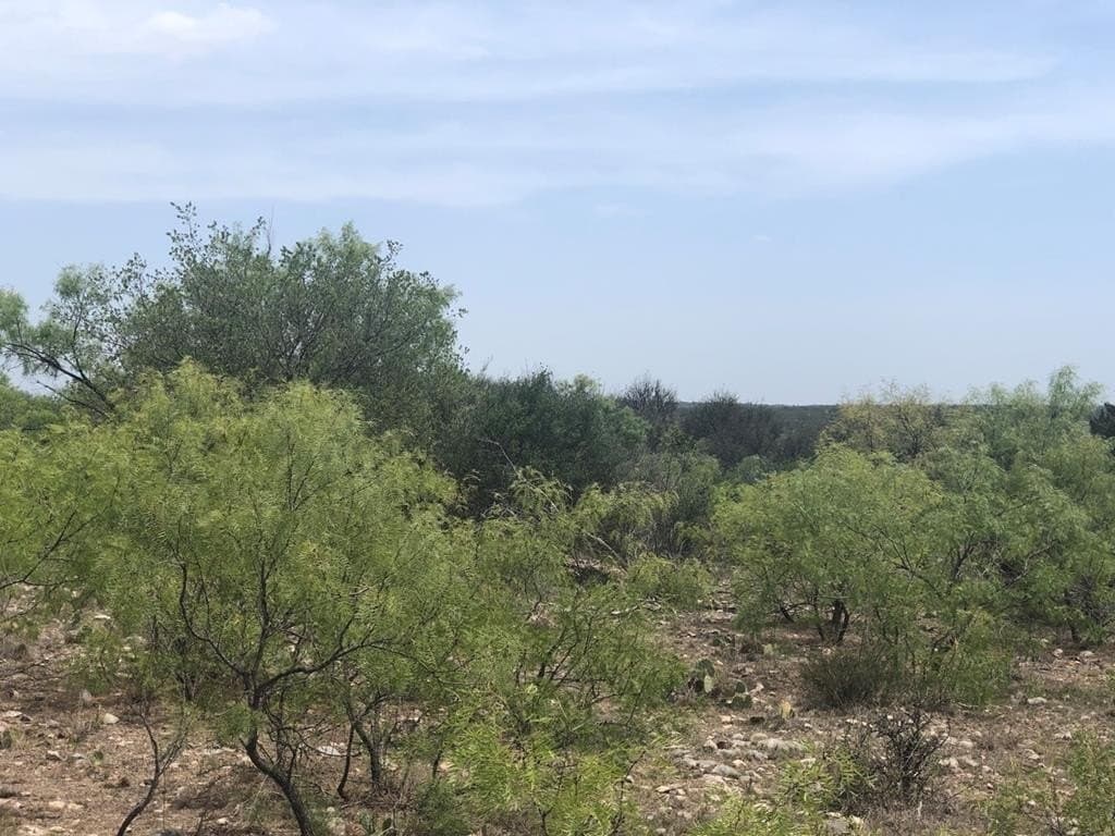52.03 acres in Schleicher County - photo 10