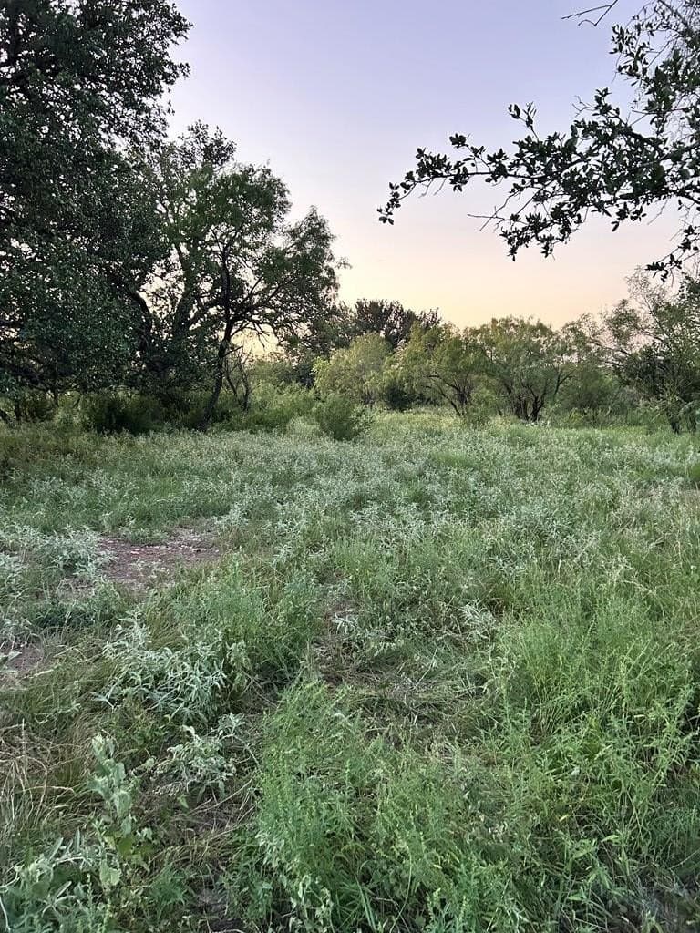 52.03 acres in Schleicher County - photo 41