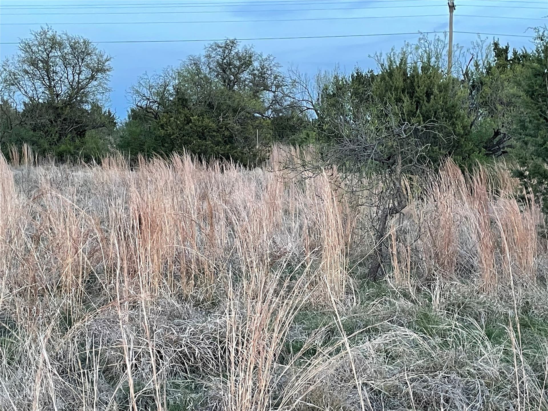 2.08 acres in Hood County - photo 8