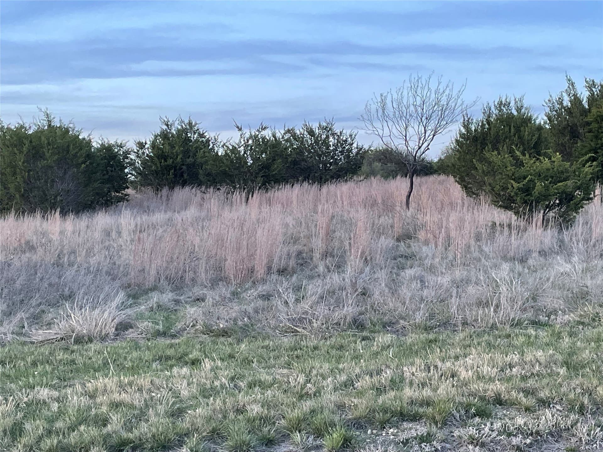 2.08 acres in Hood County - photo 6