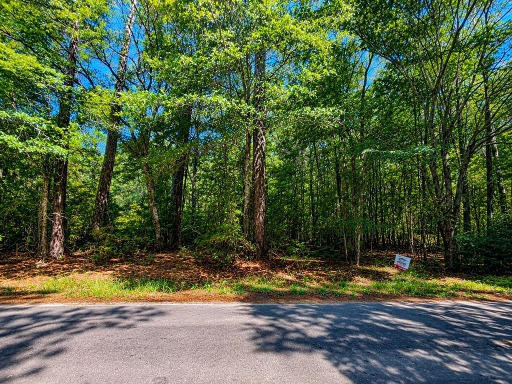 2.39 acres in Texas County gallery image 2