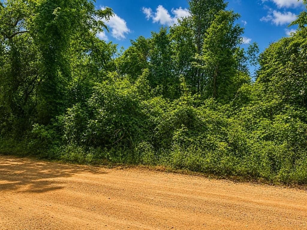 2.37 acres in Texas County - photo 6