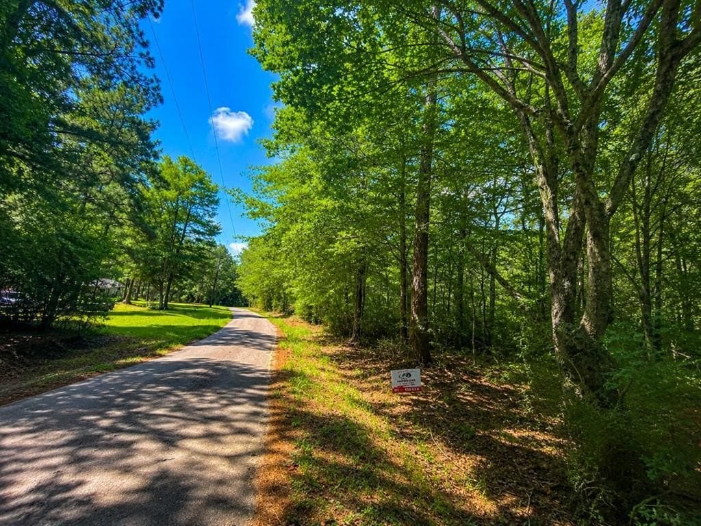 2.39 acres in Texas County