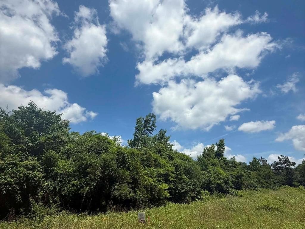 2.37 acres in Texas County gallery image 3