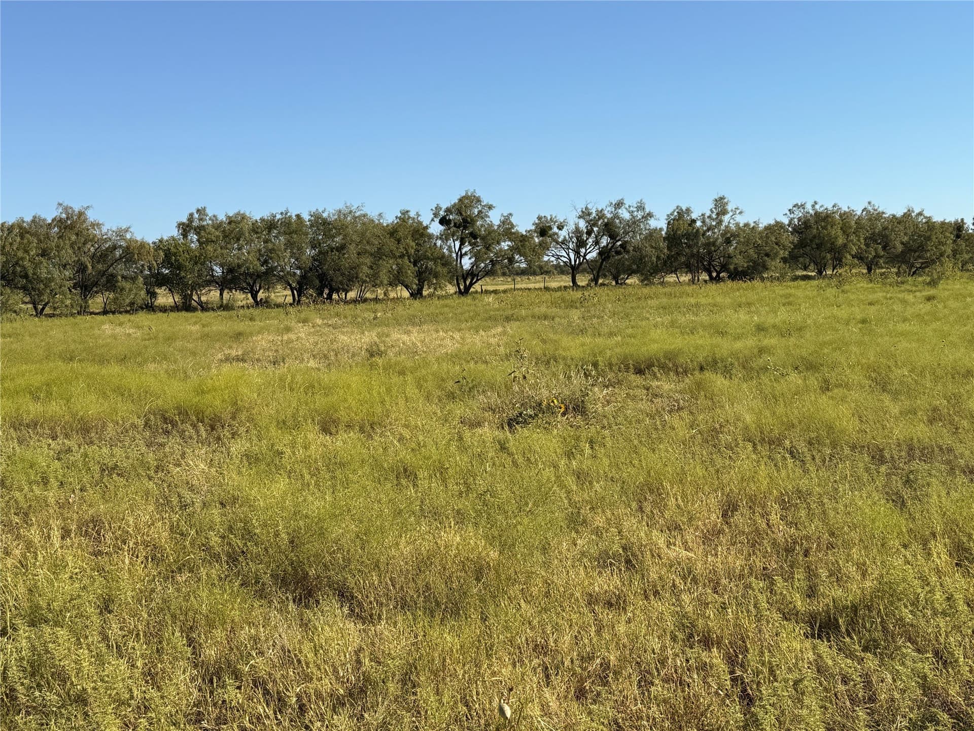 61.52 acres in Runnels County - photo 22