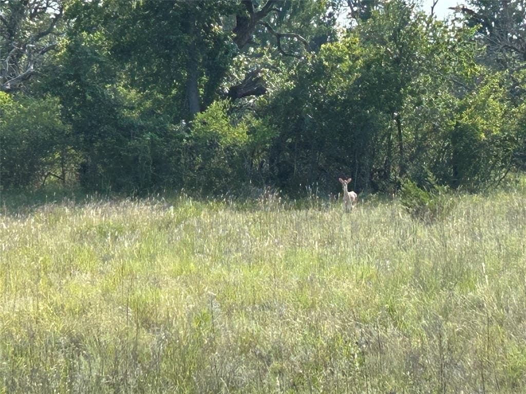 86.37 acres in Mills County featured view