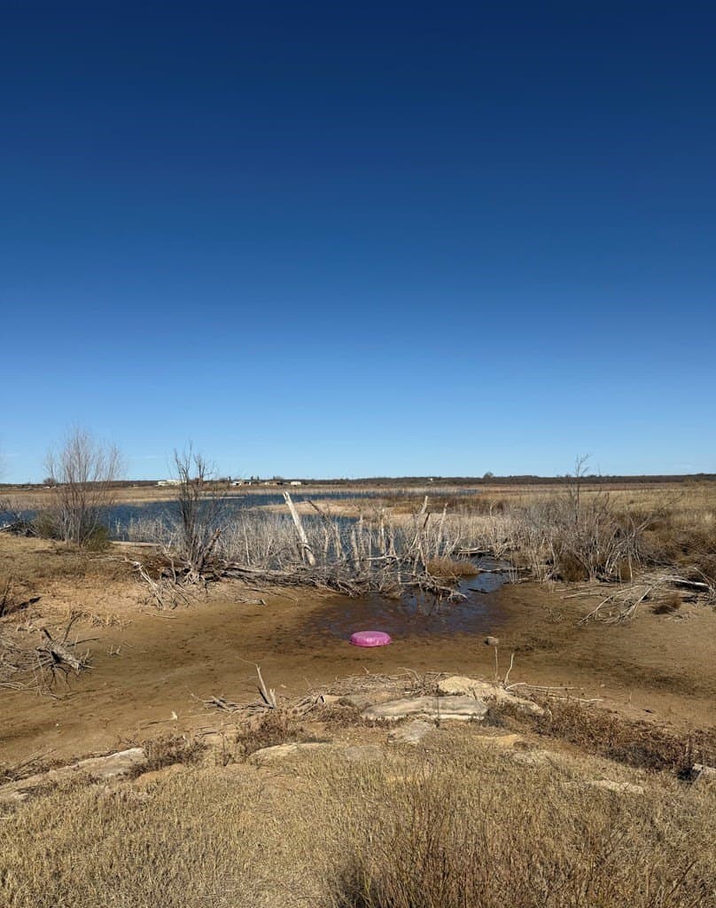 0.5 acres in Mitchell County - photo 6