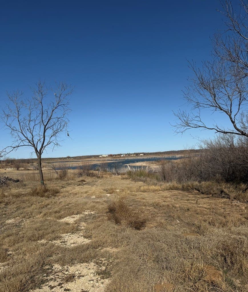 0.5 acres in Mitchell County gallery image 4