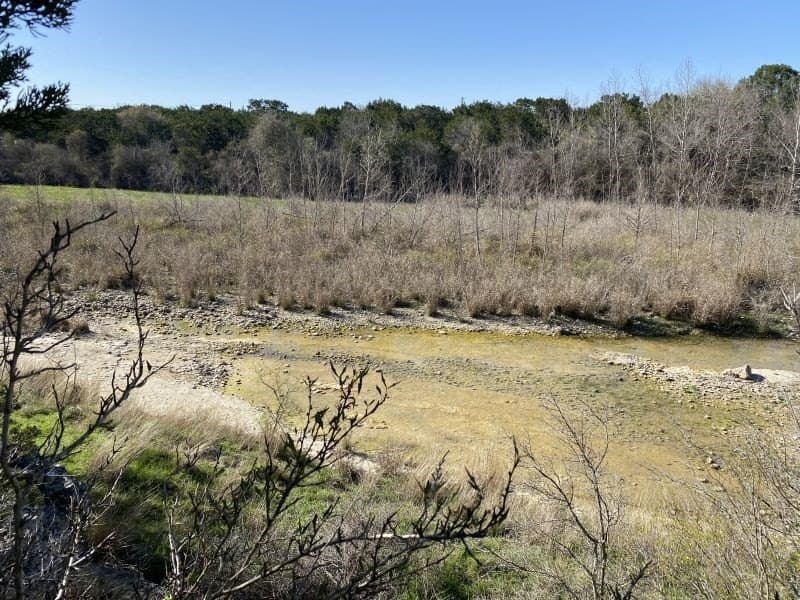 5.48 acres in Uvalde County gallery image 3