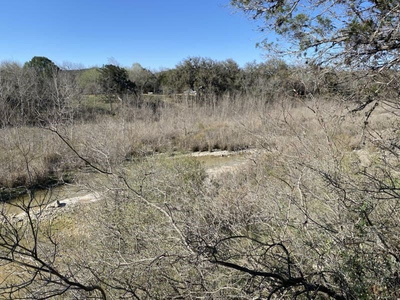 5.48 acres in Uvalde County gallery image 4