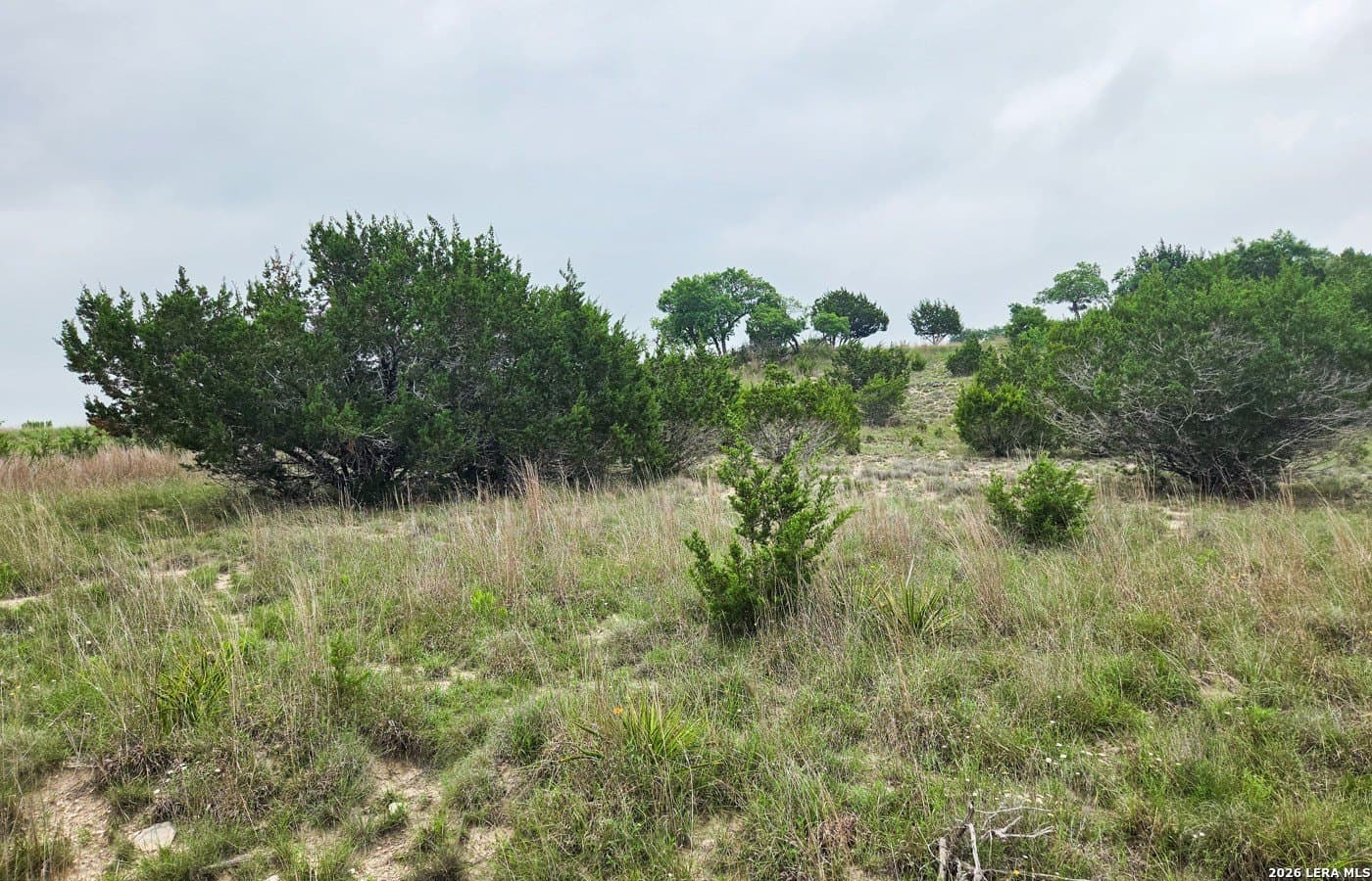 5 acres in Blanco County - photo 4