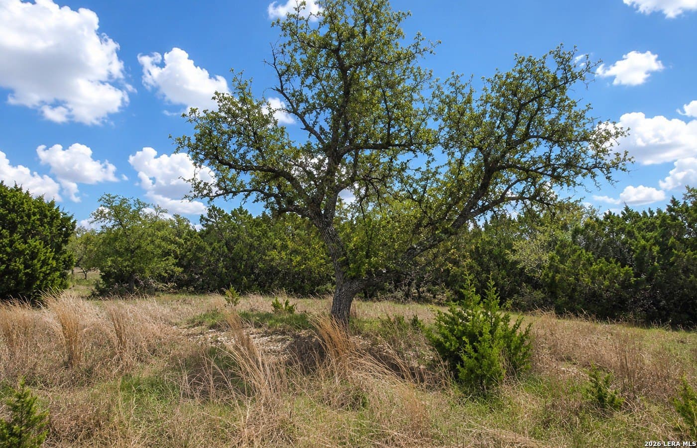 5 acres in Blanco County - photo 19