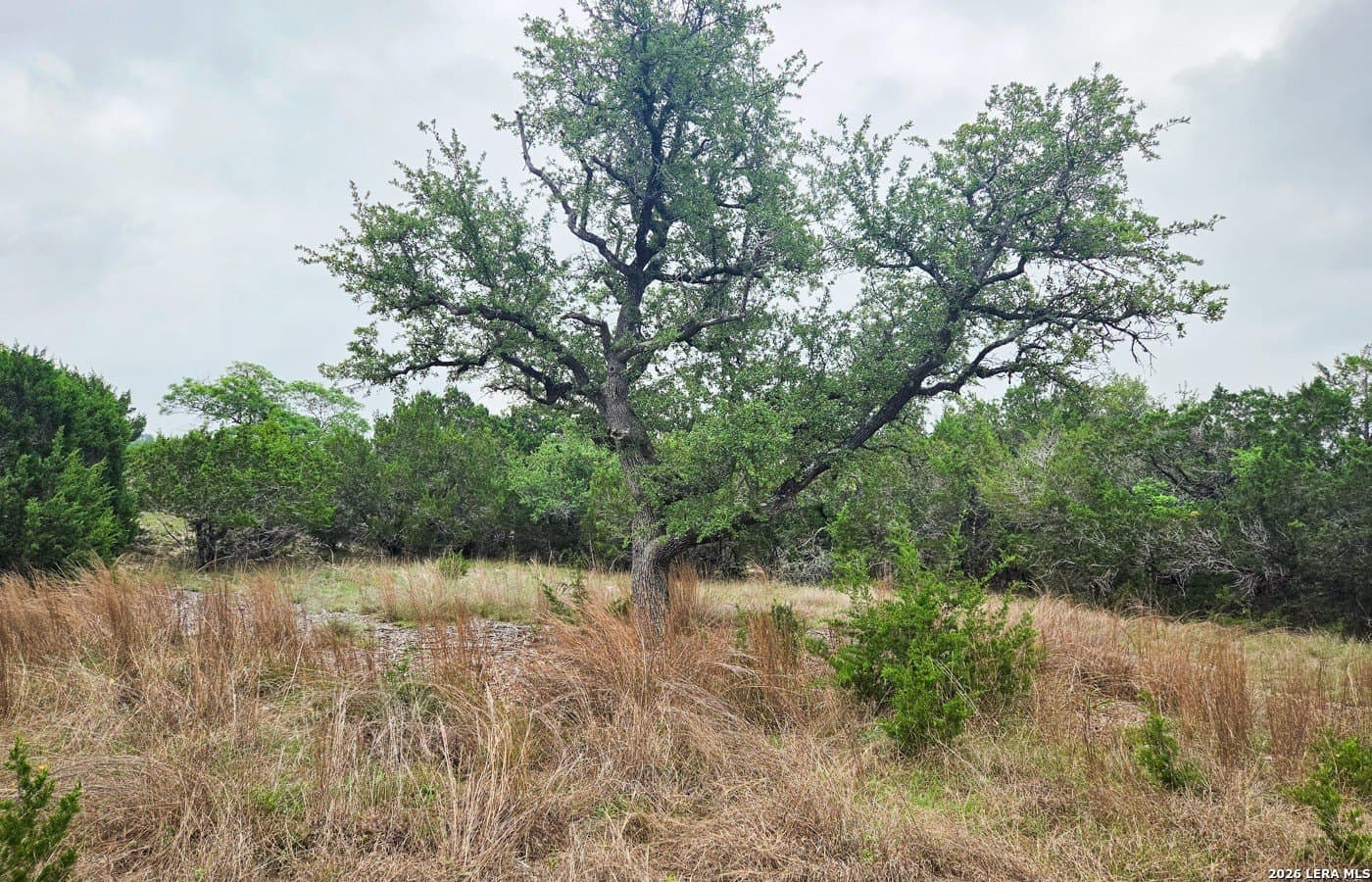 5 acres in Blanco County - photo 20