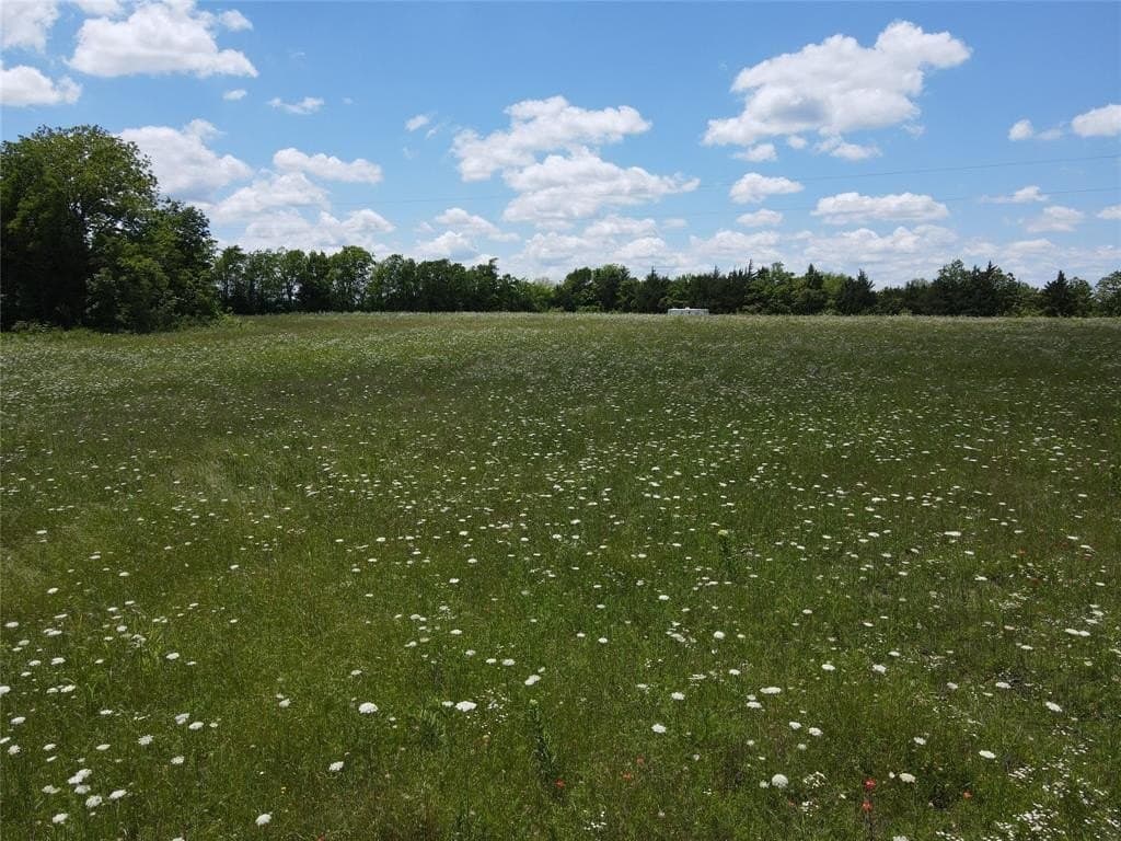 17 acres in Fannin County gallery image 4