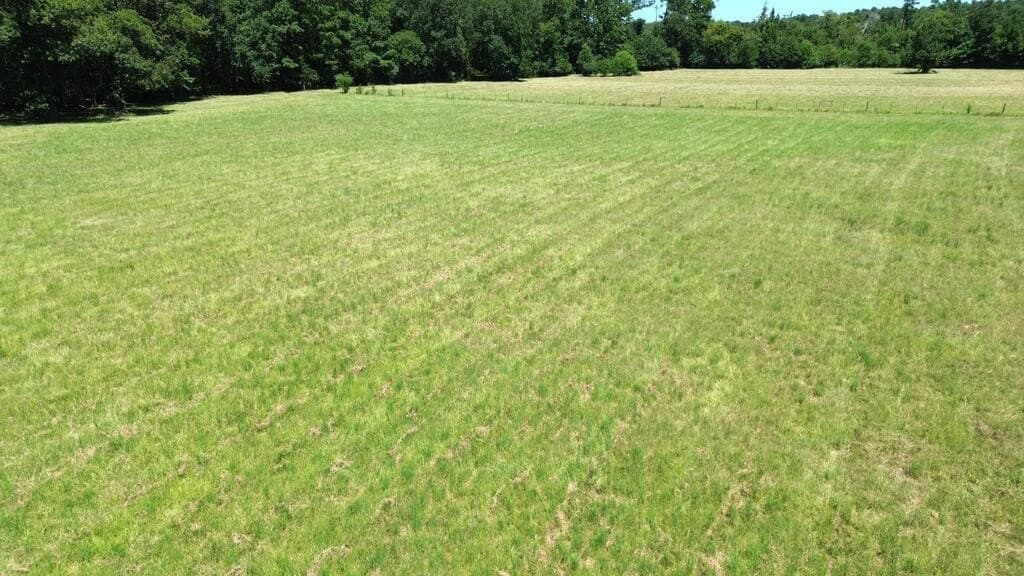 15.04 acres in Texas County - photo 6