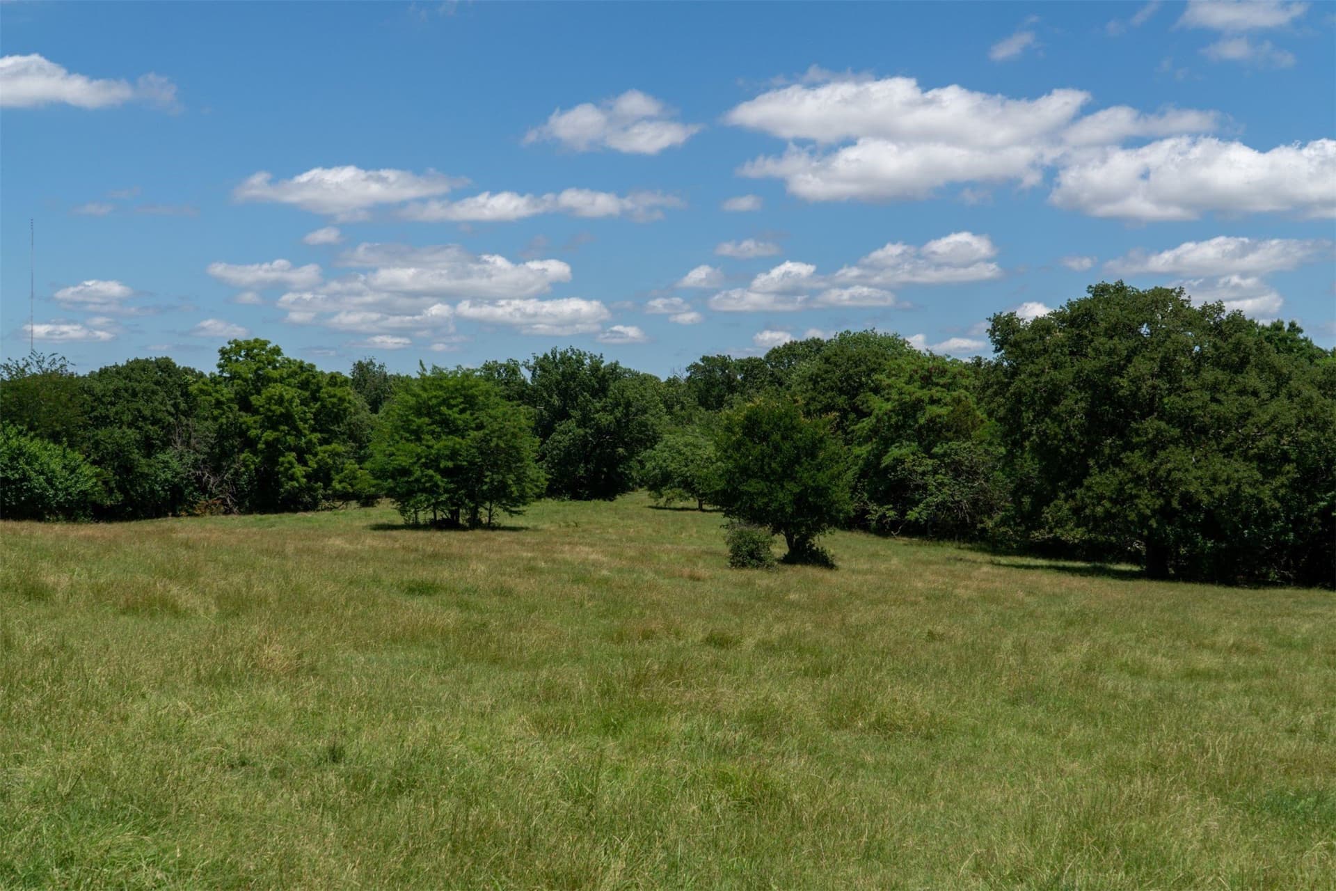 42.3 acres in Grayson County - photo 29