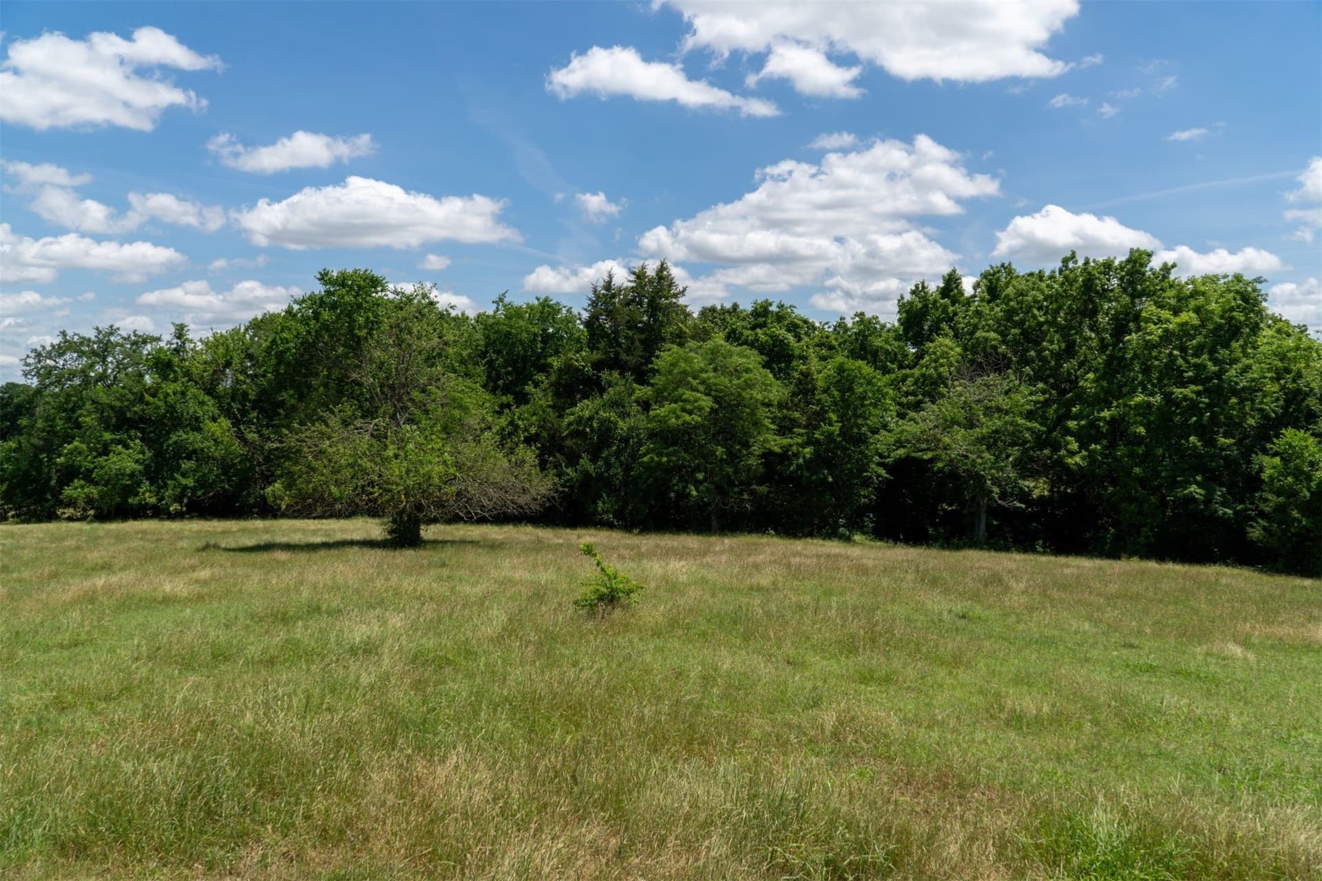 42.3 acres in Grayson County - photo 28