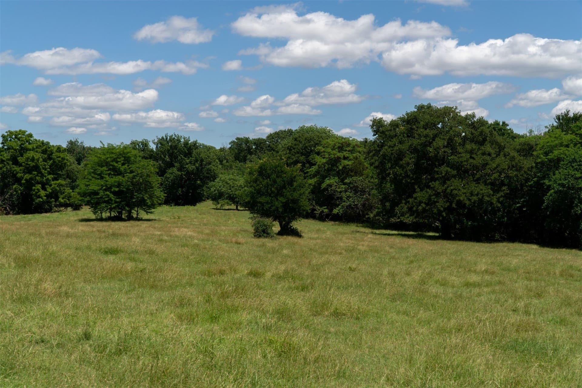 42.3 acres in Grayson County - photo 26