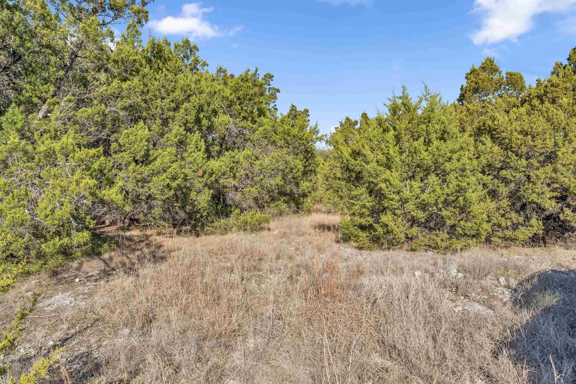 0.22 acres in Travis County featured view
