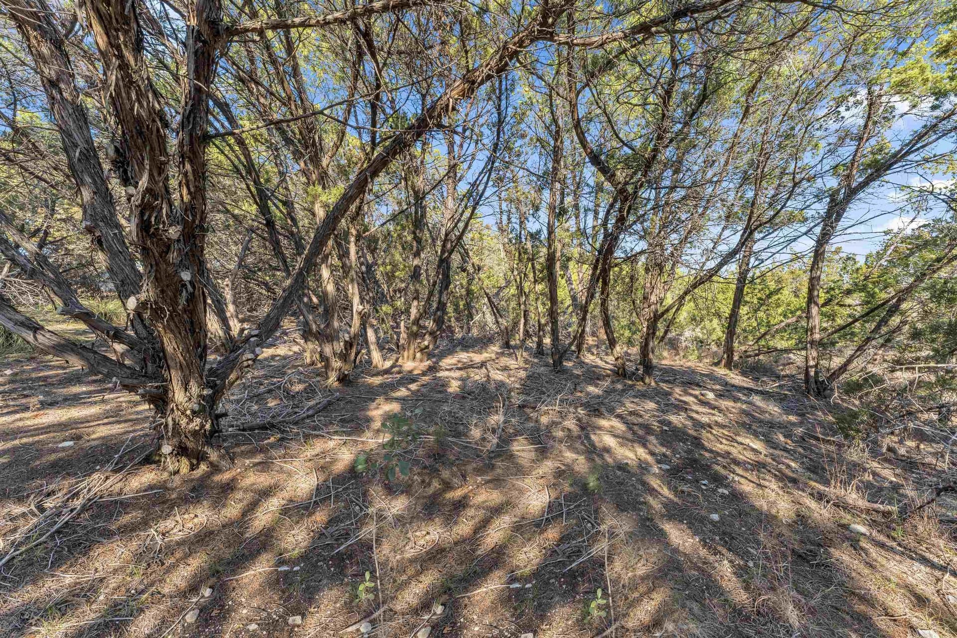 0.22 acres in Travis County - photo 10