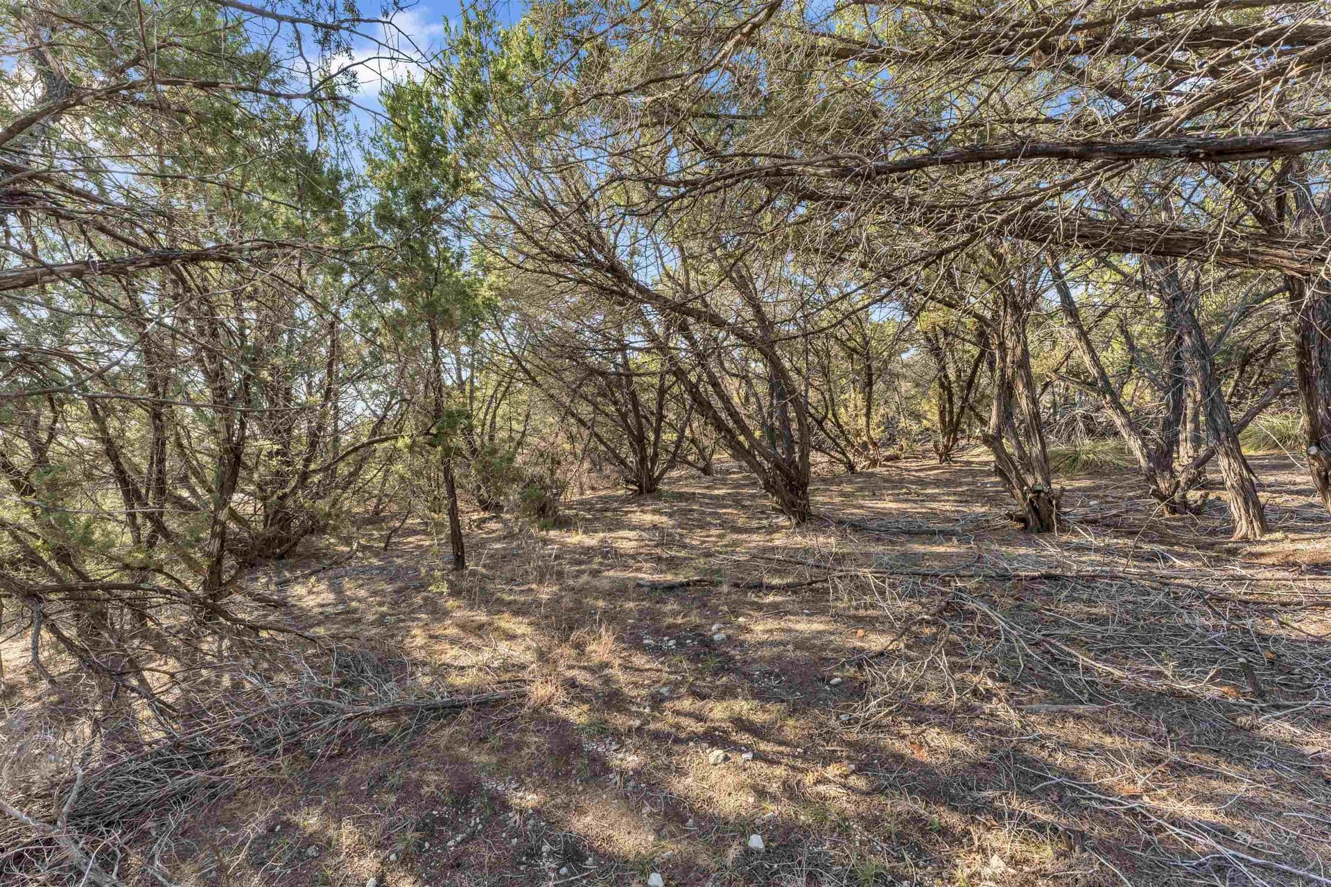 0.22 acres in Travis County - photo 11