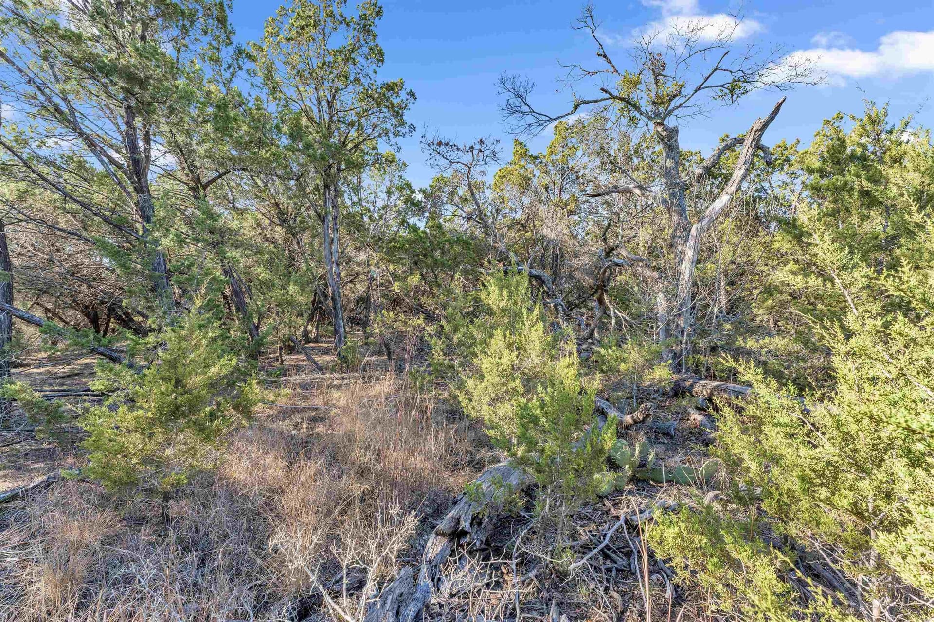 0.22 acres in Travis County - photo 12