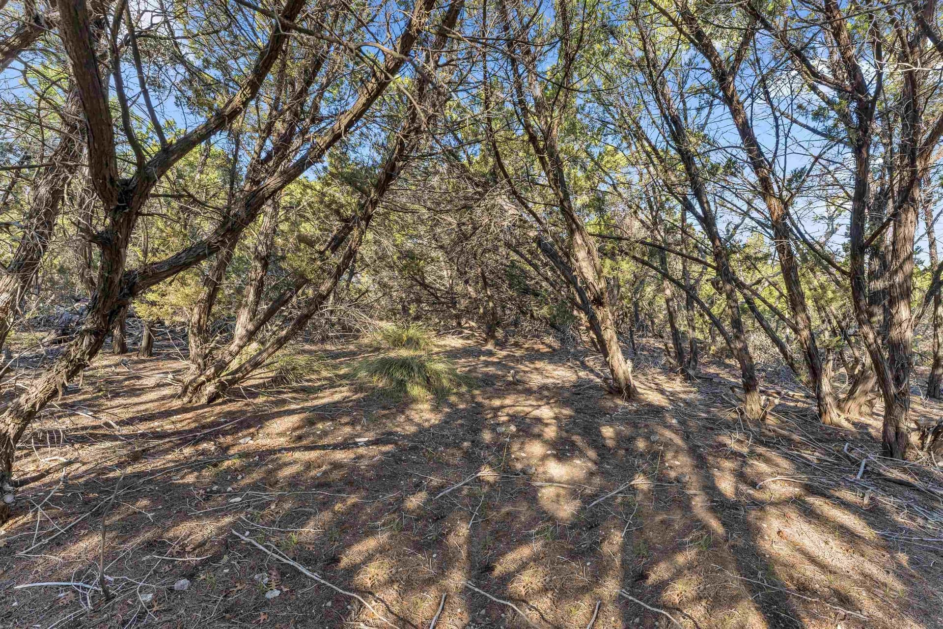 0.22 acres in Travis County - photo 9