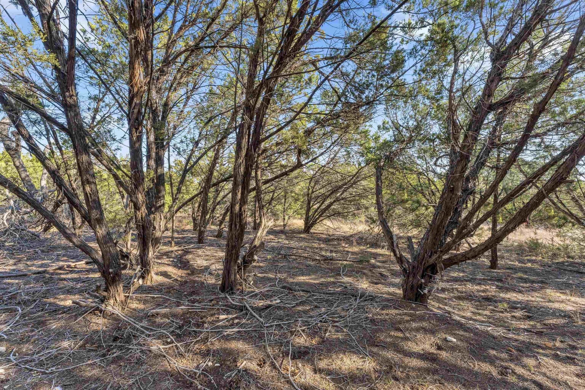 0.22 acres in Travis County - photo 7