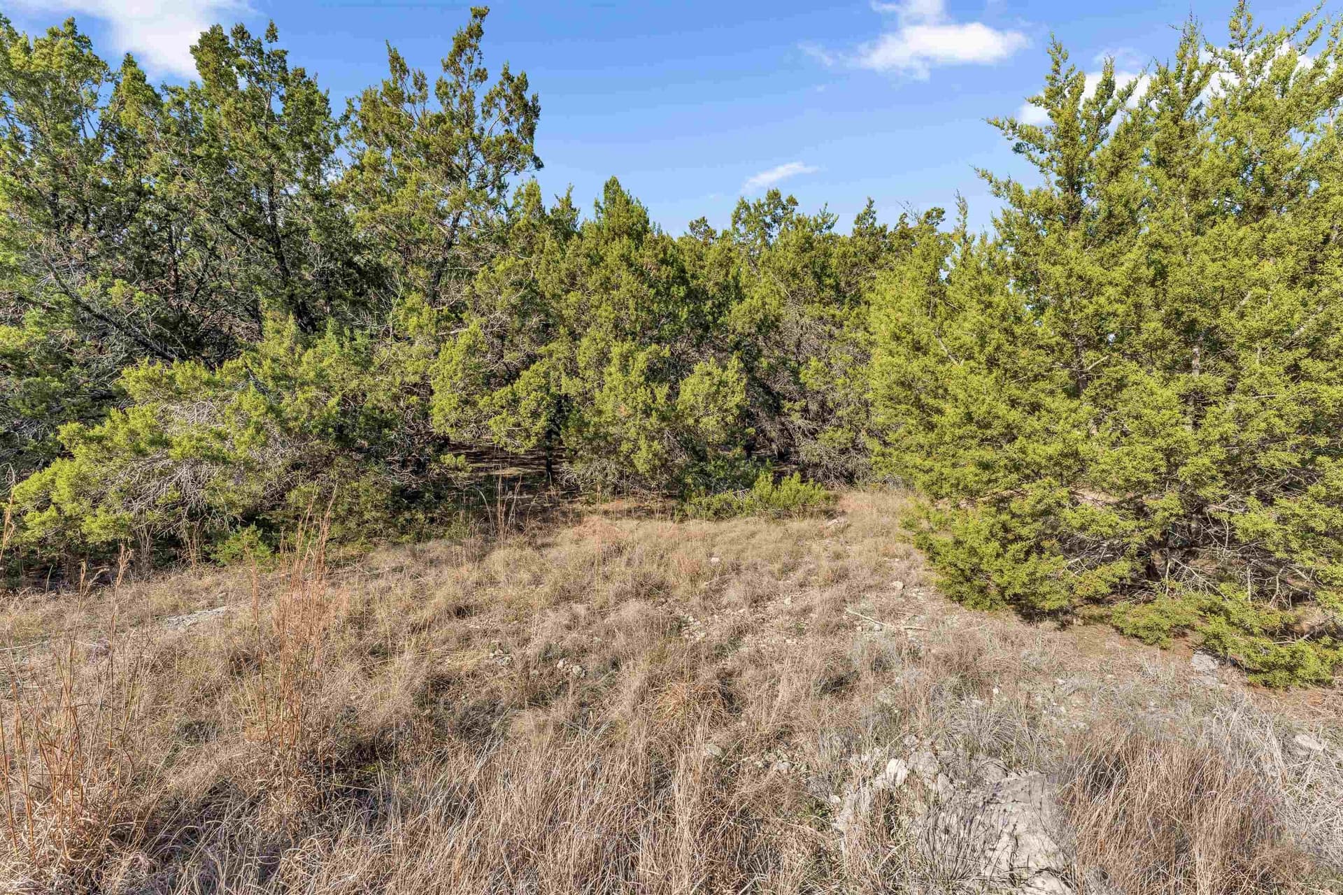 0.22 acres in Travis County - photo 6