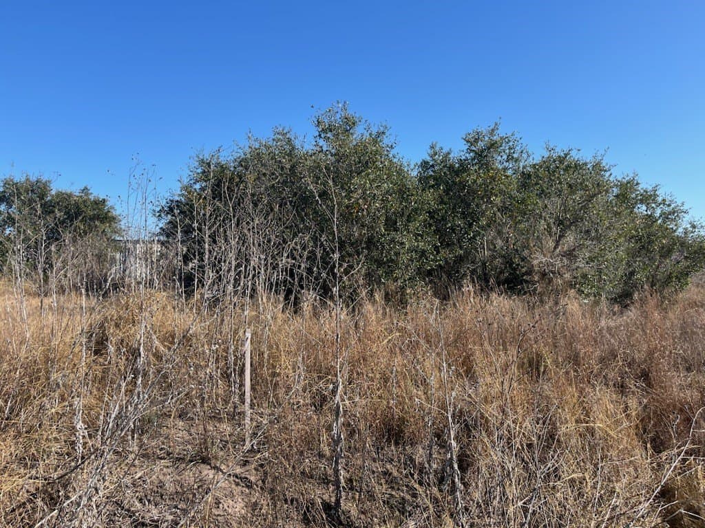 0 acres in Aransas County - photo 6