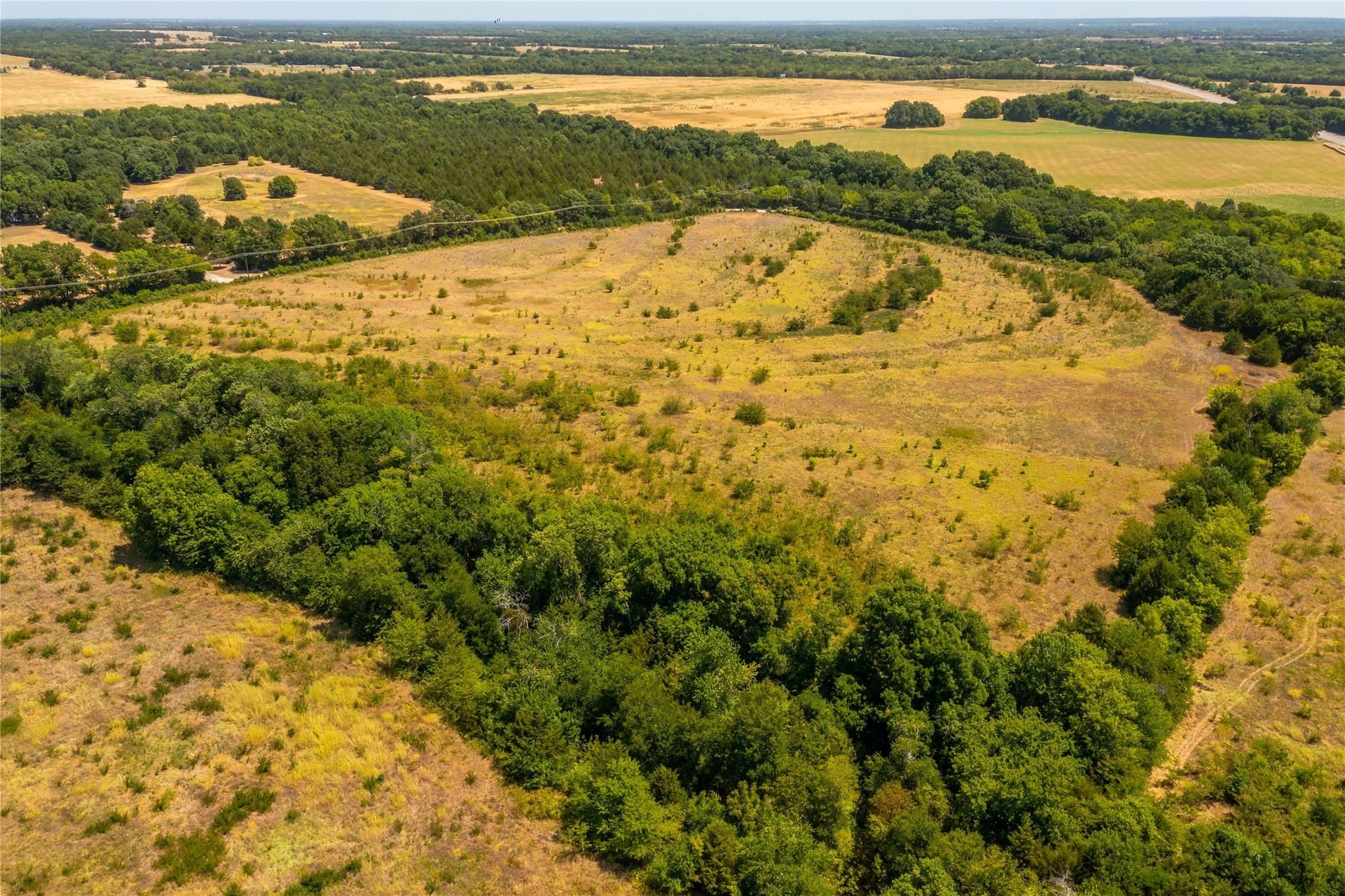 37.03 acres in Fannin County - photo 13