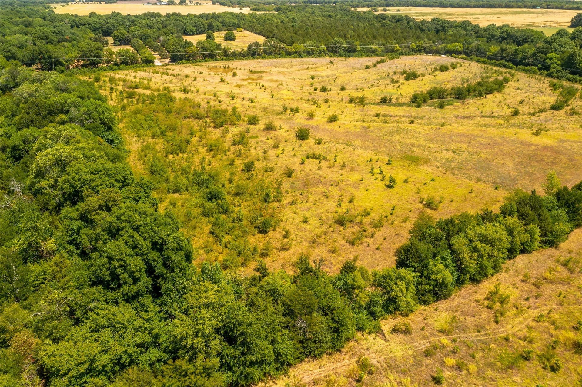 37.03 acres in Fannin County - photo 10