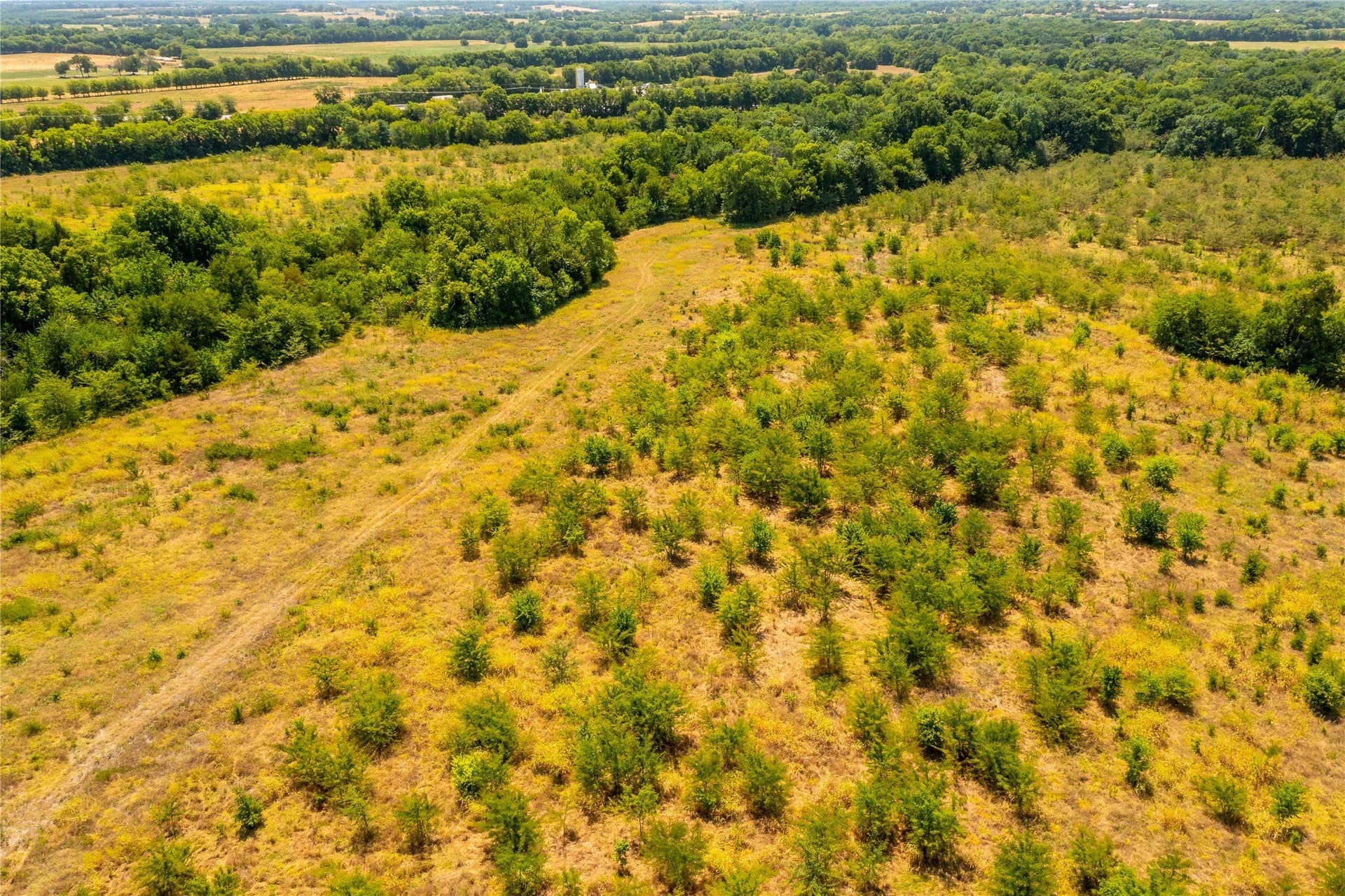 37.03 acres in Fannin County - photo 9