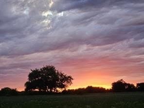 15.84 acres in Collin County - photo 29