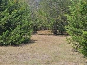 15.84 acres in Collin County - photo 16