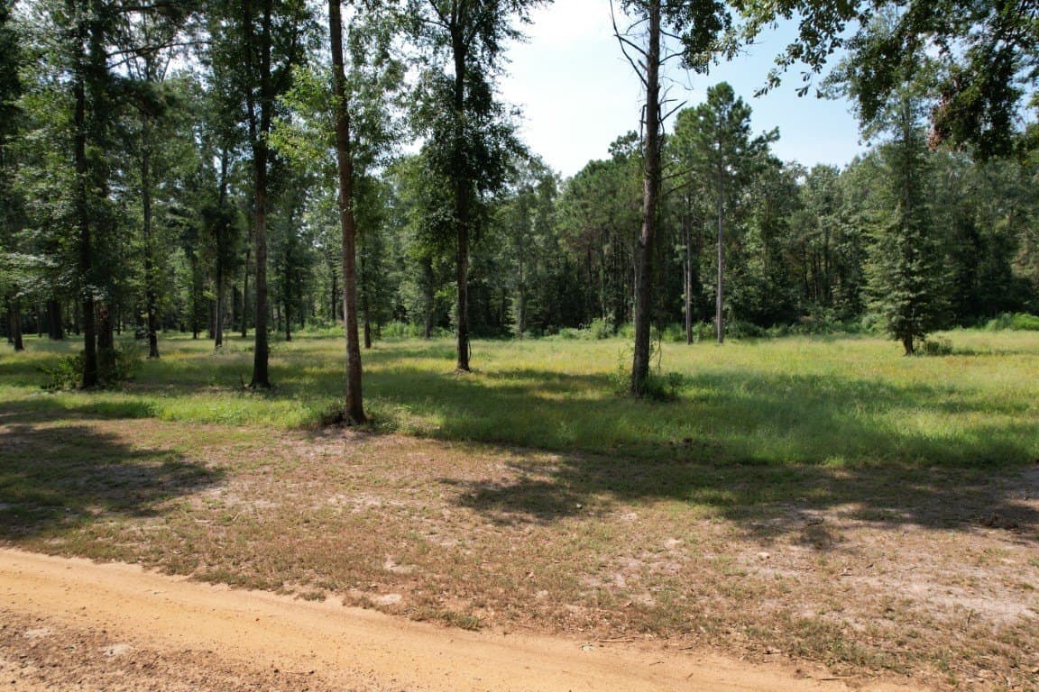 0.7 acres in Shelby County - photo 11