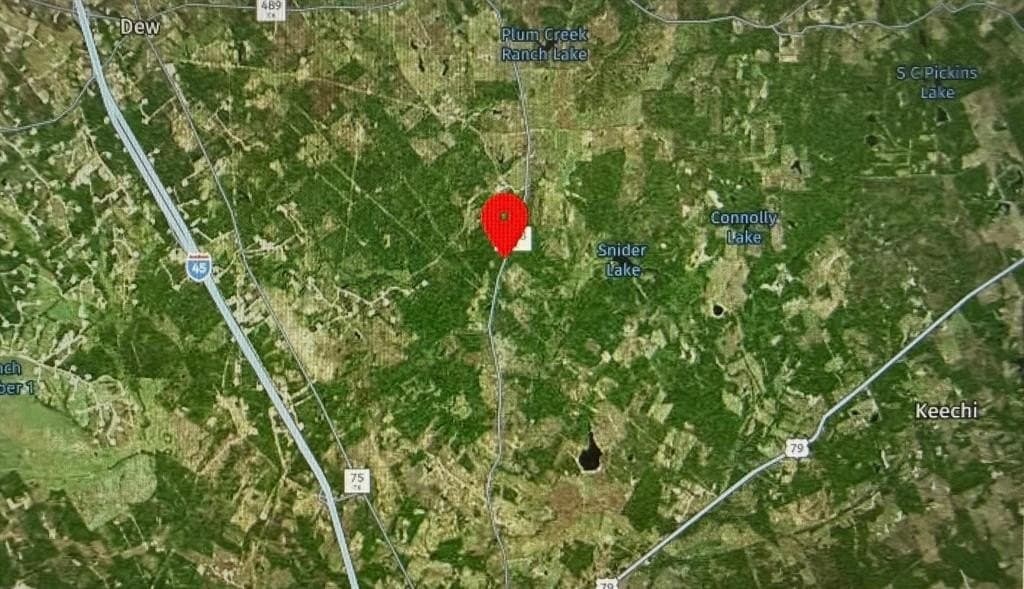 1,653 acres in Freestone County gallery image 2
