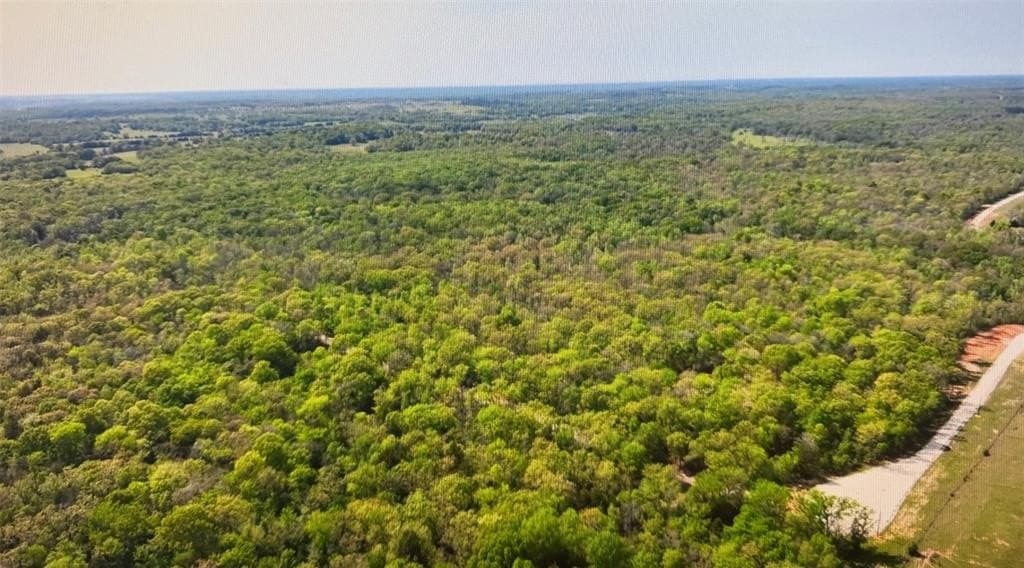 1,653 acres in Freestone County gallery image 4