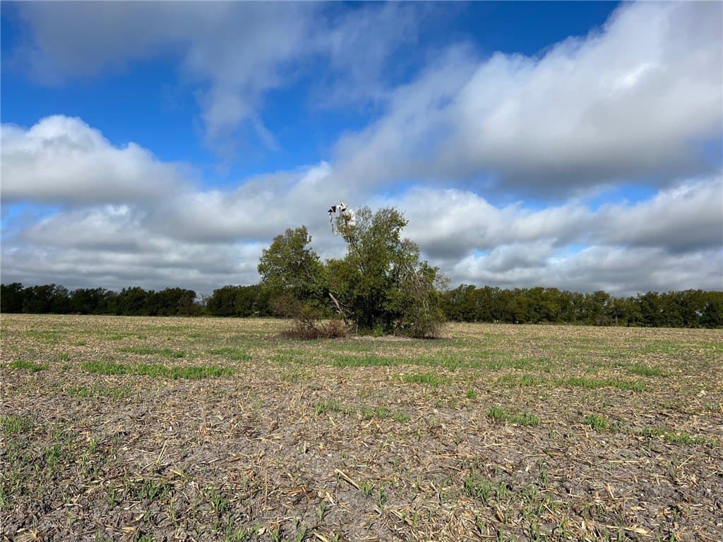99 acres in Bell County - photo 2