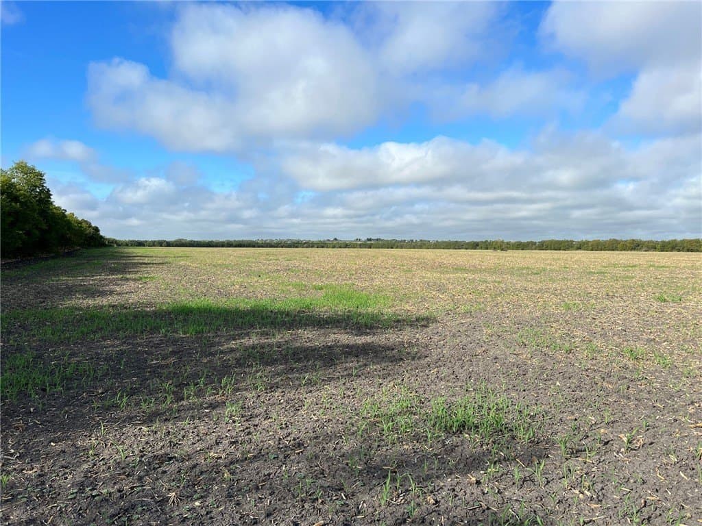 99 acres in Bell County - photo 9