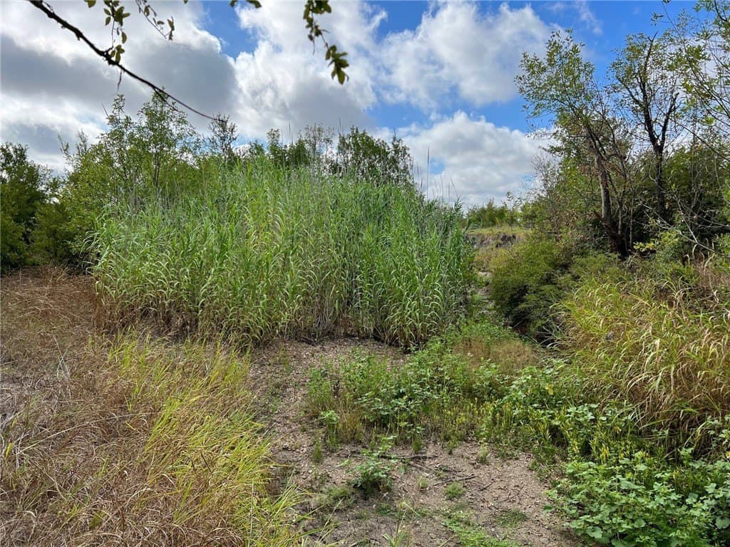 99 acres in Bell County - photo 16