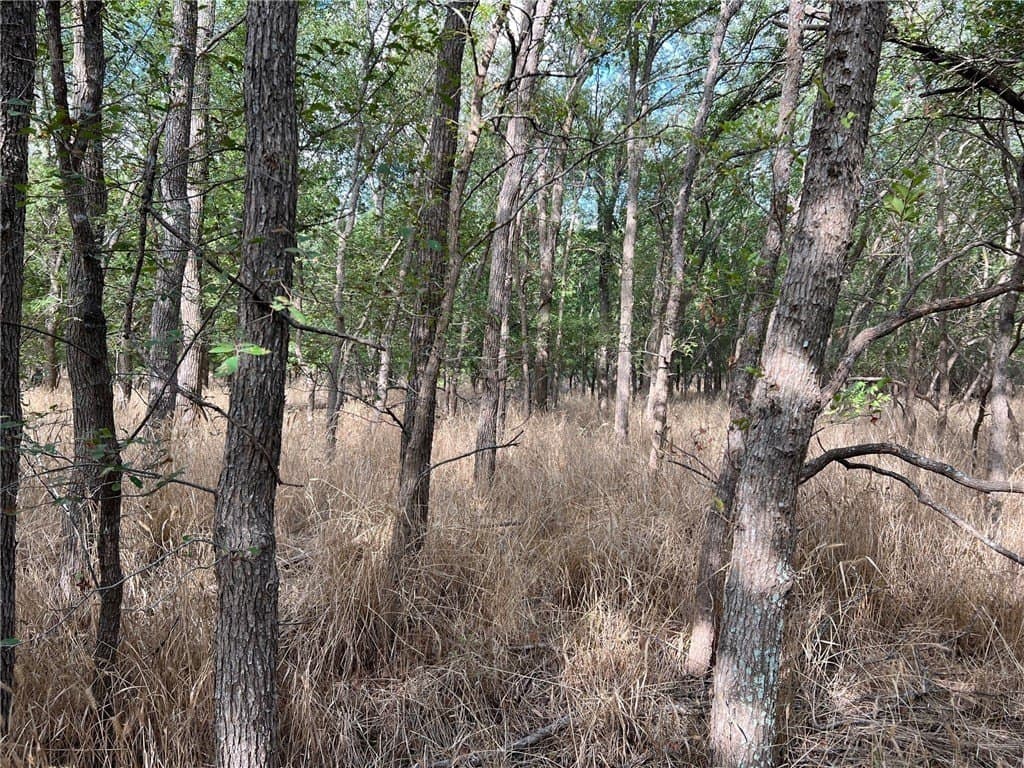 99 acres in Bell County - photo 14