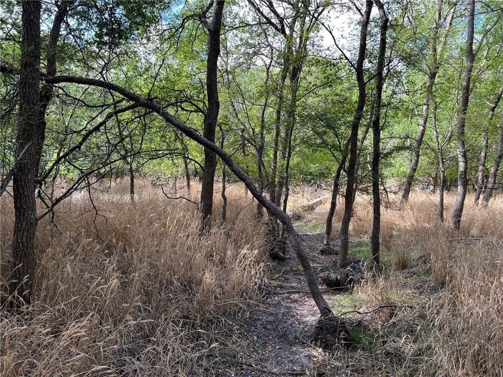 99 acres in Bell County - photo 7