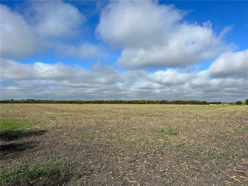 99 acres in Bell County - photo 8