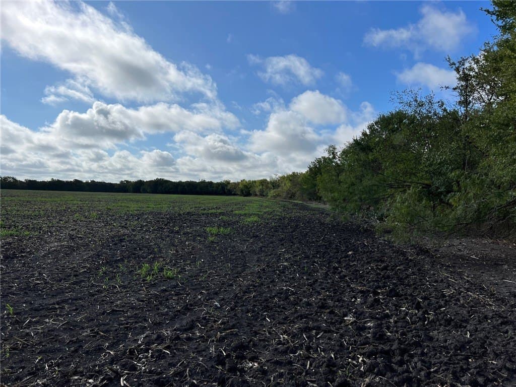 99 acres in Bell County featured view