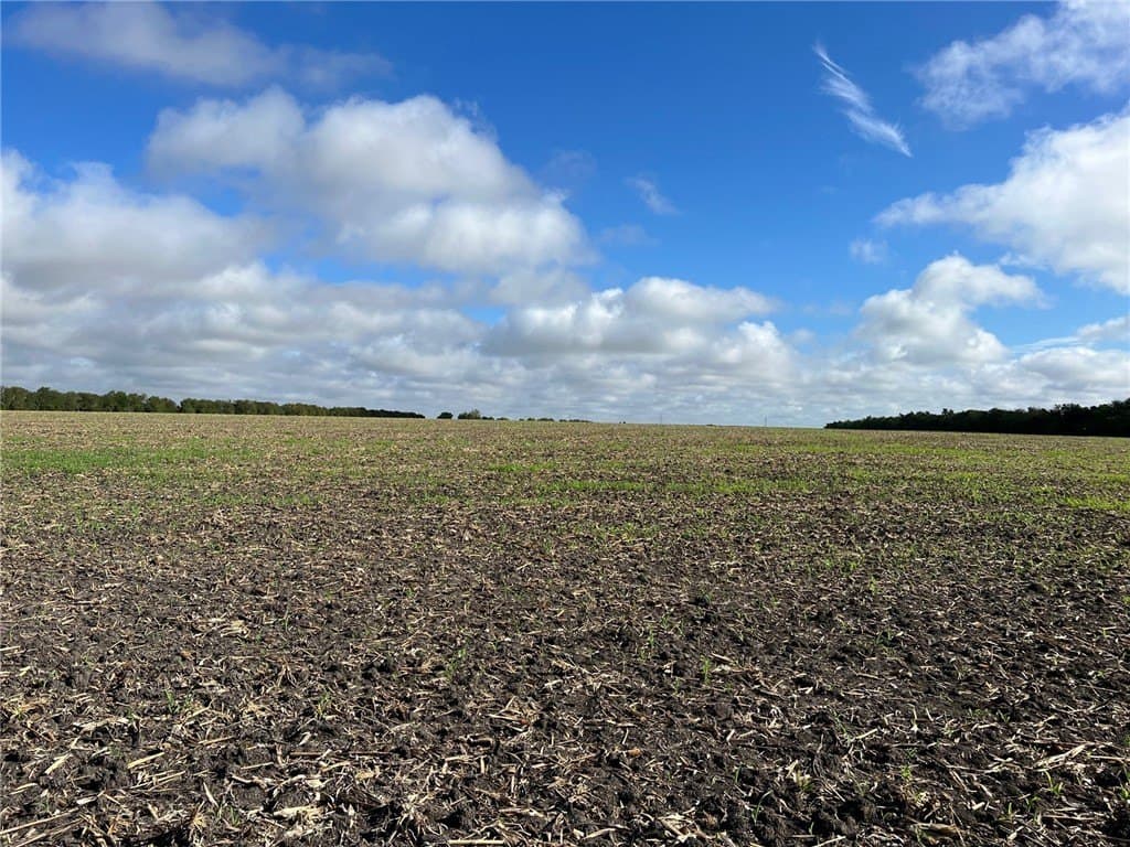 99 acres in Bell County - photo 13