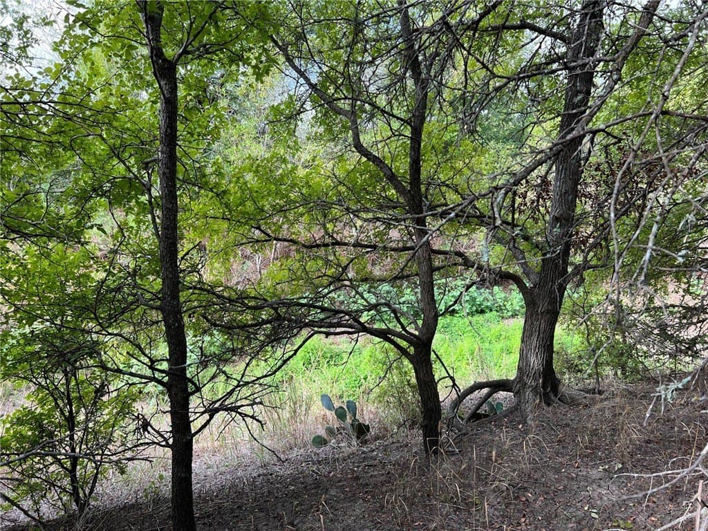 99 acres in Bell County - photo 15