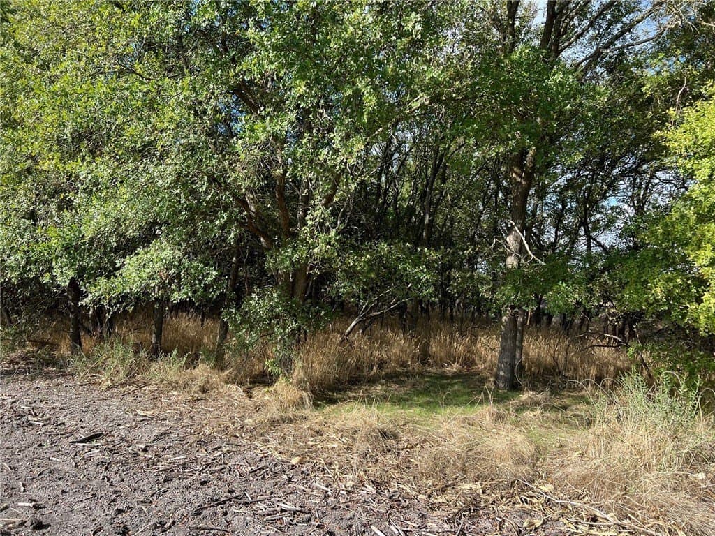 99 acres in Bell County - photo 12