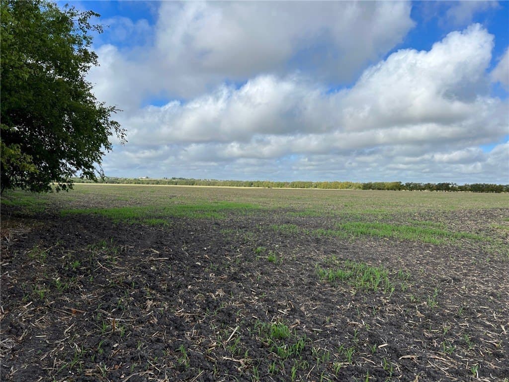 99 acres in Bell County gallery image 3